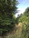 Mini Ranch photo